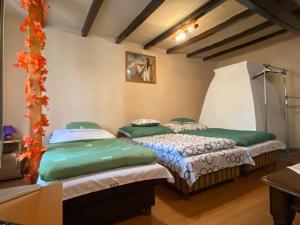 a room with two twin beds in it at Emese Vendégház in Tiszafüred