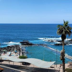 a swimming pool next to a beach with a palm tree at Kailani Tacoronte in Santa Cruz de Tenerife
