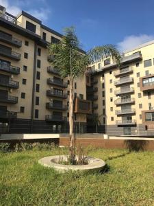 una palmera en un círculo delante de un edificio en Bel Appartement de standing, en Ouled Moussa