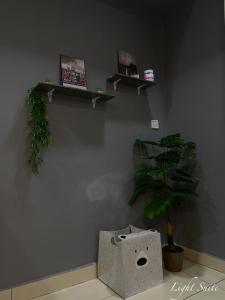 a room with a wall with shelves and a plant at Relaxed Studio Q&S-Bed Near Airport WI-FI-Aeropod Sovo in Kota Kinabalu