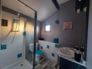 a bathroom with a shower and a sink and a toilet at Maison du Grand Moulin in Saint-Aubin-en-Charollais