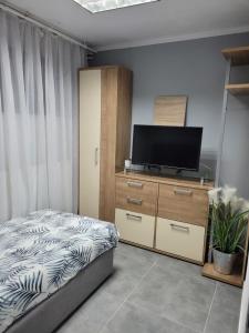 1 dormitorio con 1 cama y TV de pantalla plana en Pokoje na Warszawskiej, en Gorzów Wielkopolski