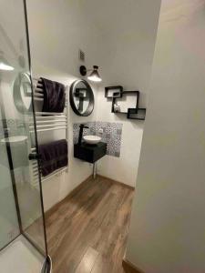 a bathroom with a shower and a sink and a mirror at Du côté de chez nous in Cuxac-dʼAude