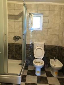 a bathroom with a toilet and a shower and a sink at Apartman Perper 2 Trebinje in Trebinje