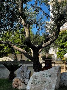 un árbol en un parque con una roca y un jarrón en Casa Tesoro, en Cisternino