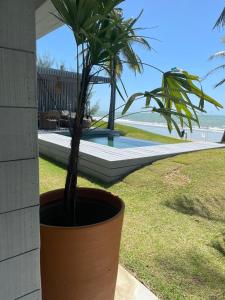 a plant in a large pot next to a house at Club de Mar Condo Hotel in Icaraí