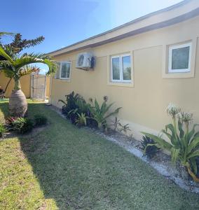 a house with a palm tree in the yard at Luxury one bed room apartment in Nassau
