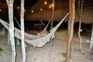 Fotografie z fotogalerie ubytování Kakao Cobá Hotel & Cenote Experience v destinaci Cobá