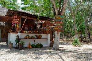 Zahrada ubytování Kakao Cobá Hotel & Cenote Experience