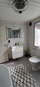 a bathroom with a sink and a toilet and a mirror at Sjötorps Säteris 1600-tals Huvudbyggnad in Larv