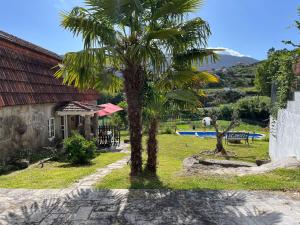 a palm tree in a yard next to a house at Villa Parra in Santa Cristina de Cobres