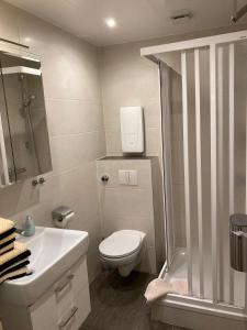 a bathroom with a toilet and a shower and a sink at Haus Reimann in Altenau