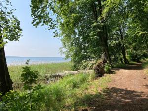 a dirt trail with trees and the ocean in the background at Haus Sarah 4 Am Lorenweg 10 in Göhren-Lebbin