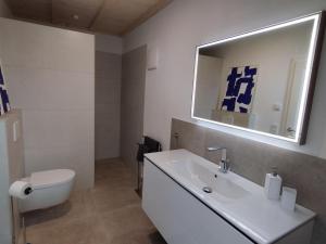 uma casa de banho com um lavatório, um WC e um espelho. em Ferienwohnung in den Dorfwiesen em Gersfeld