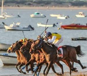 un grupo de caballos corriendo en la playa en ALOJAMIENTO La CAPILLITA HABITACION CON BAÑO, en Sanlúcar de Barrameda