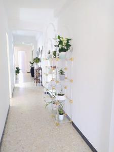 a hallway with a shelf with potted plants on it at Alojamiento Caldas Centro in Caldas de Reis