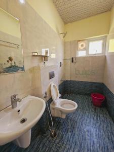 a bathroom with a sink and a toilet at Tulips Village Resorts in Ooty