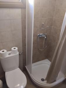 uma casa de banho com um WC e um chuveiro com 2 rolos de papel higiénico em Elatodasos em Taxiarchis