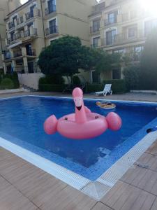 uma jangada insuflável rosa numa piscina em Студио за гости БОРИСА em Kranevo