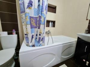 a bathroom with a toilet and a shower curtain at Testemiteanu 1 bedroom apartment with work zone in Chişinău