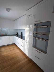a kitchen with white cabinets and stainless steel appliances at Modern Roof-Top with Terrace & View in Zurich