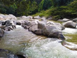 Fotografie z fotogalerie ubytování Hostal Flor Tayrona v destinaci Santa Marta