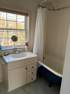a bathroom with a sink and a shower at Not-so-tiny, Tranquil, Pond front Bungalow in Canaan