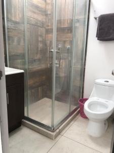 a bathroom with a shower and a toilet at La casa azul in Culiacán