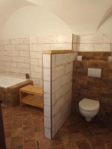 Koupelna v ubytování Apartmán Hessy