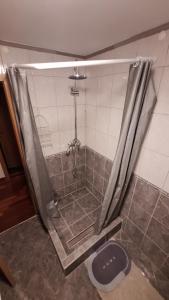 a bathroom with a shower with a toilet in it at Dalma in Osijek +5 photos