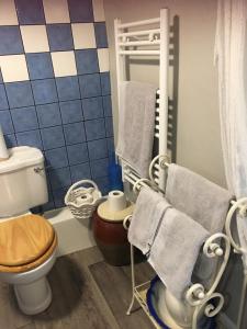 a bathroom with a toilet and a towel rack at Oscar Park Farm in York