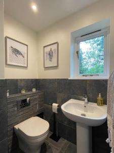 a bathroom with a toilet and a sink and a window at Surrey Hills Lodge in Ewhurst