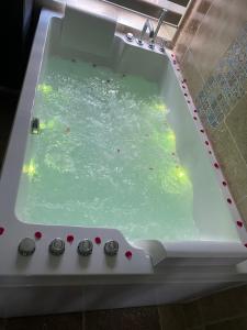 una bañera llena de agua verde en una habitación en Chambre d'hôtes Alizé, Le Moulin de Prédelles en Reillanne