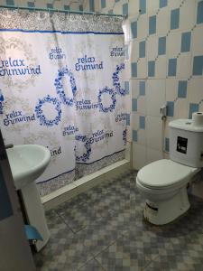 ein Badezimmer mit einem WC, einem Waschbecken und einem Duschvorhang in der Unterkunft Three bedroom duplex near RCCG redemption camp 