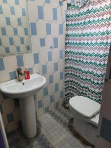 ein Badezimmer mit einem Waschbecken, einem WC und einem Duschvorhang in der Unterkunft Three bedroom duplex near RCCG redemption camp 