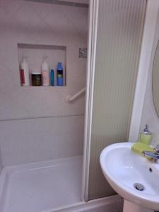卡馬約雷的住宿－GIARDINO FIORITO，带淋浴、盥洗盆和卫生间的浴室