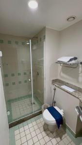 W łazience znajduje się toaleta i przeszklony prysznic. w obiekcie Flat c/ Garagem na Rua Borges Lagoa 1179 UH518 w São Paulo