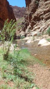 une rivière au milieu d'un canyon dans l'établissement Maison D'hote Amazir, à Boumalne
