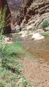 une rivière au milieu d'un canyon dans l'établissement Maison D'hote Amazir, à Boumalne