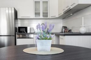 Η κουζίνα ή μικρή κουζίνα στο Apartment Feratjer