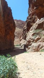 - une vue sur un canyon dans le désert dans l'établissement Maison D'hote Amazir, à Boumalne