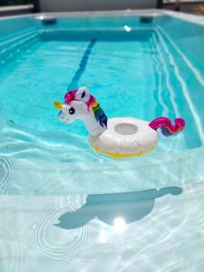 Flambantvieux : بط لعبة في الماء في المسبح