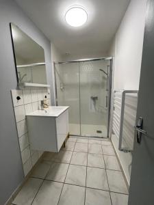 a bathroom with a shower and a sink and a mirror at LE GITE DES 2 FRERES in Arc-en-Barrois