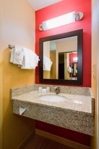 a bathroom with a sink and a mirror at Courtyard Wilmington Brandywine in Wilmington