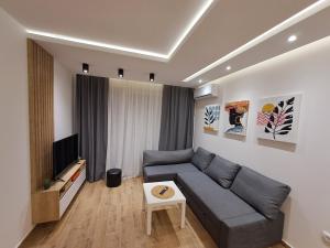 sala de estar con sofá y TV en Apartman 64 Lux en Veliko Gradište