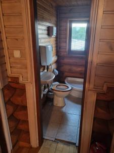 La petite salle de bains est pourvue de toilettes et d'un lavabo. dans l'établissement Cabana Haiducului, à Soveja