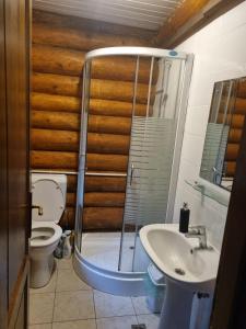 a bathroom with a toilet and a sink at Cabana Haiducului in Soveja