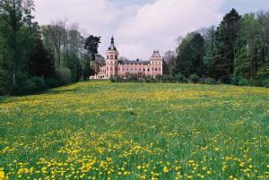 a castle on a hill with a field of flowers at Traunstein Apartment Aleksandra in Altmünster