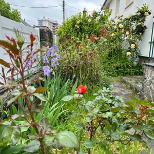 een tuin met veel verschillende soorten bloemen bij A home away from home in Rennes