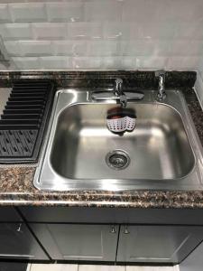 a stainless steel kitchen sink with a brush in it at Brooklyn Luxury Spring Retreat with Private Outdoor Space in Brooklyn